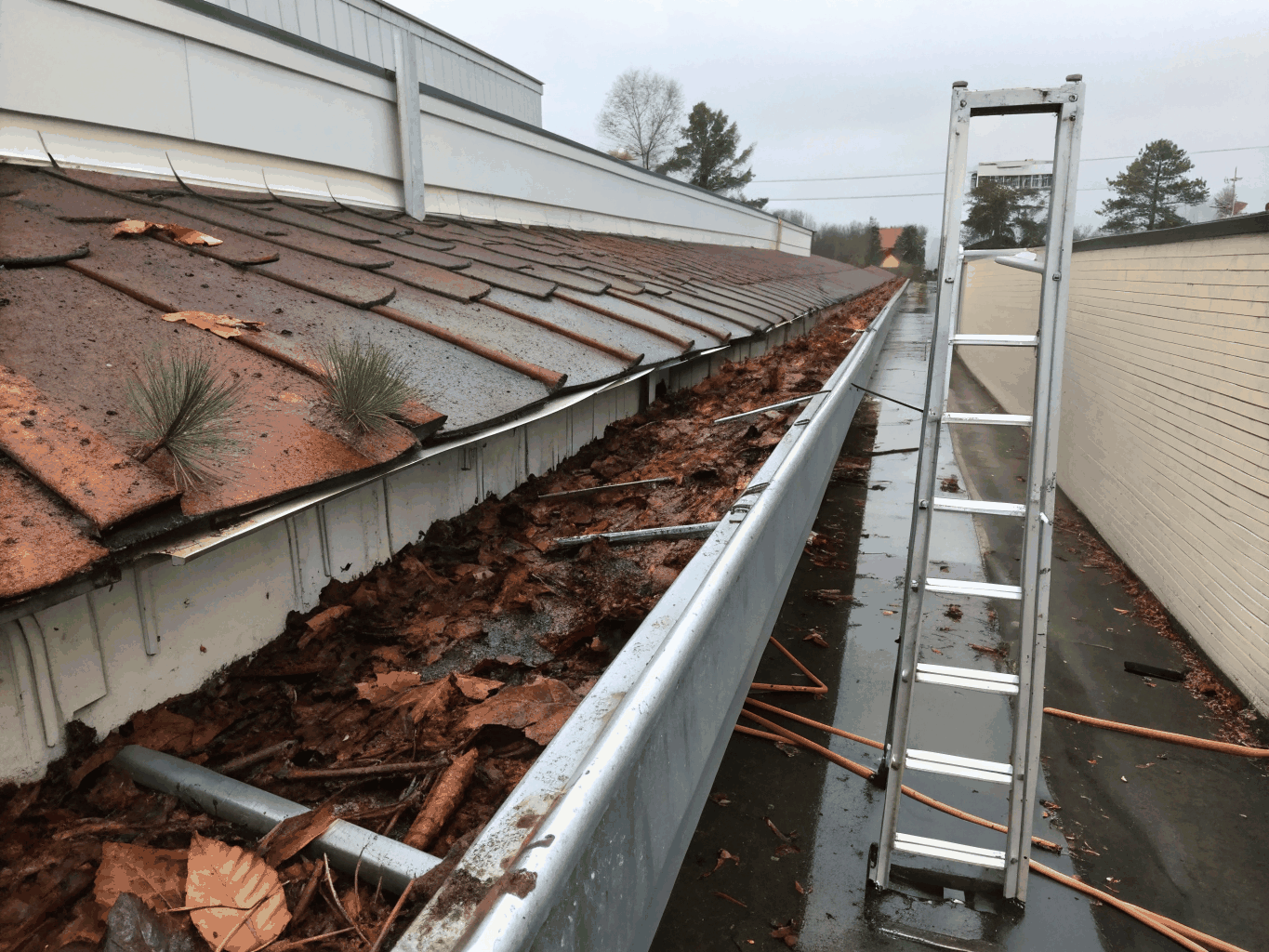 Old, sagging gutters before replacement